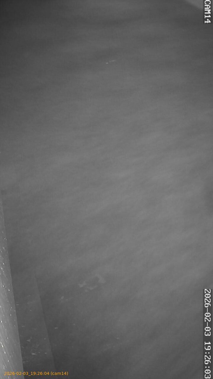 thumbnail_20260203192604