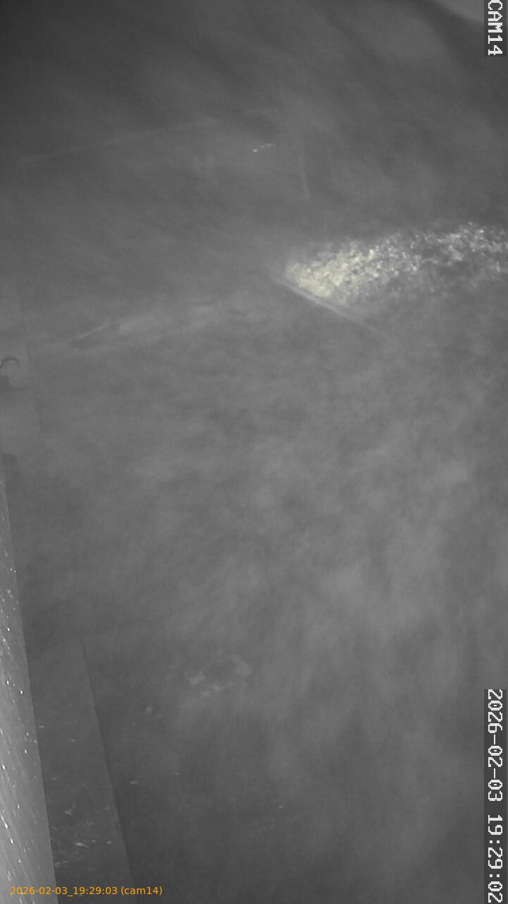 thumbnail_20260203192903