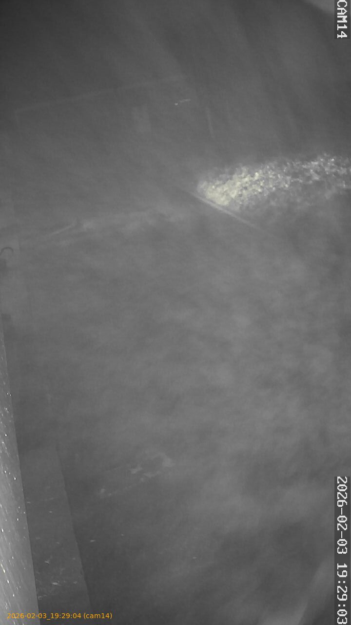 thumbnail_20260203192904