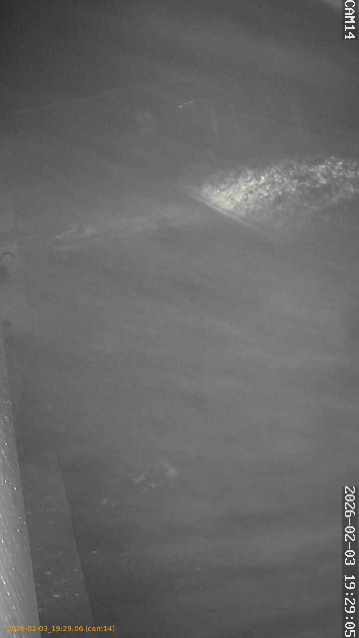 thumbnail_20260203192906