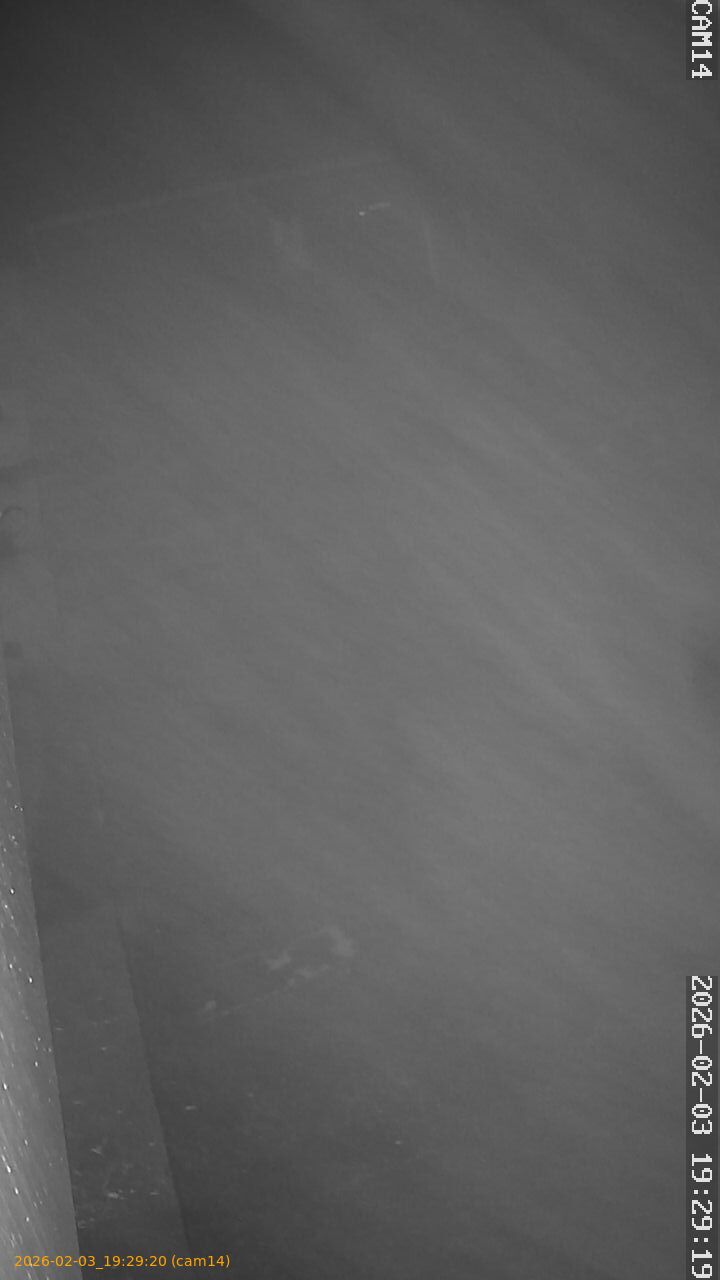 thumbnail_20260203192920