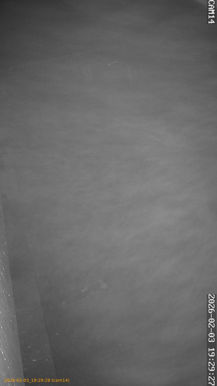 thumbnail_20260203192928