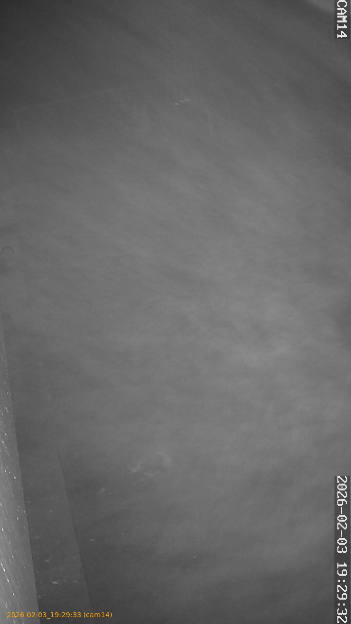 thumbnail_20260203192933