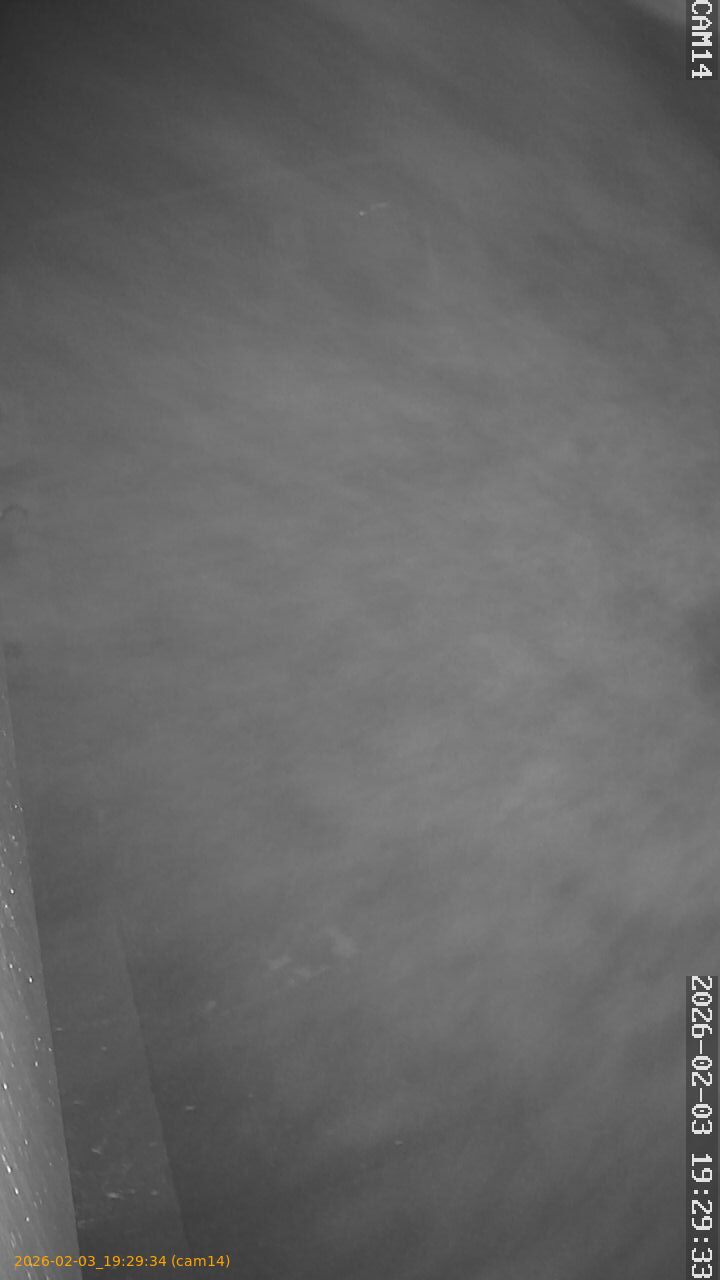 thumbnail_20260203192934