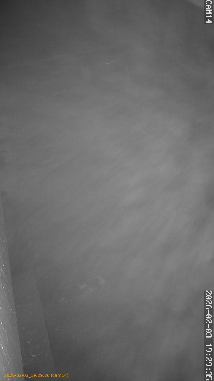 thumbnail_20260203192936