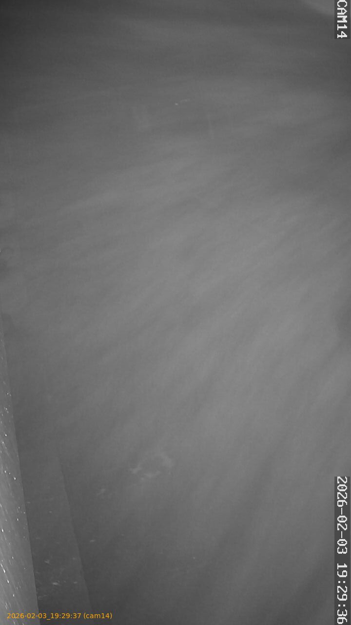 thumbnail_20260203192937