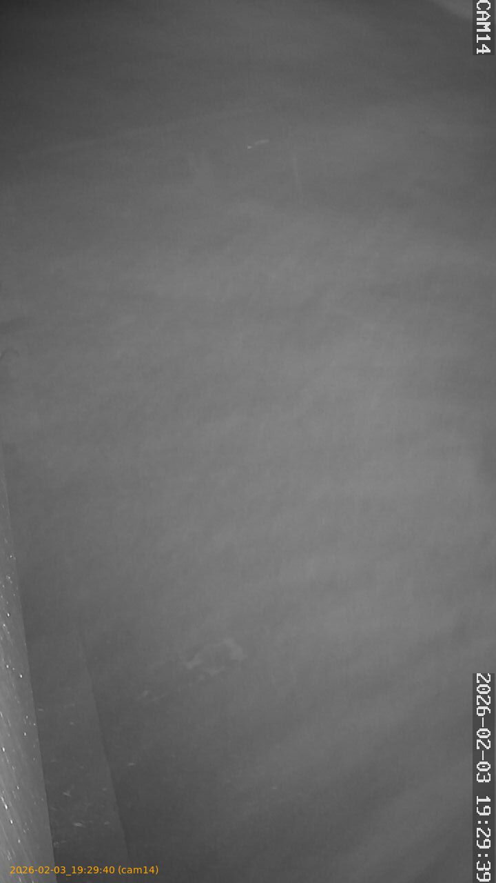 thumbnail_20260203192940