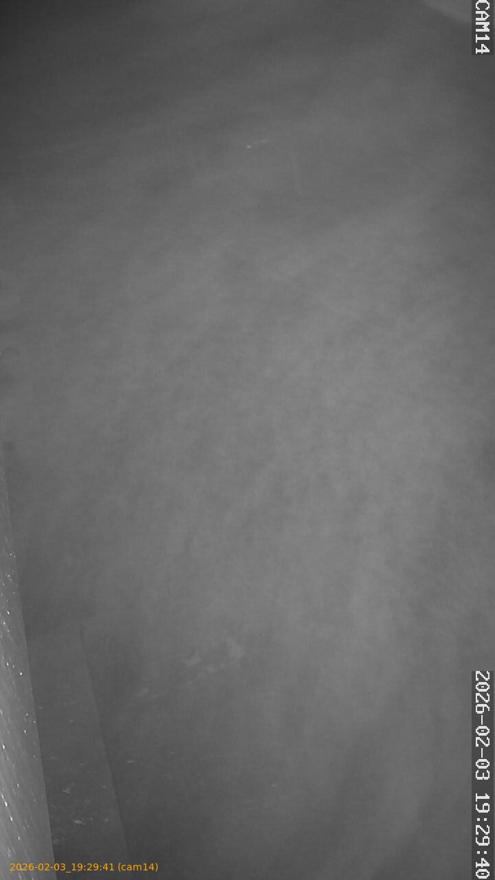 thumbnail_20260203192941