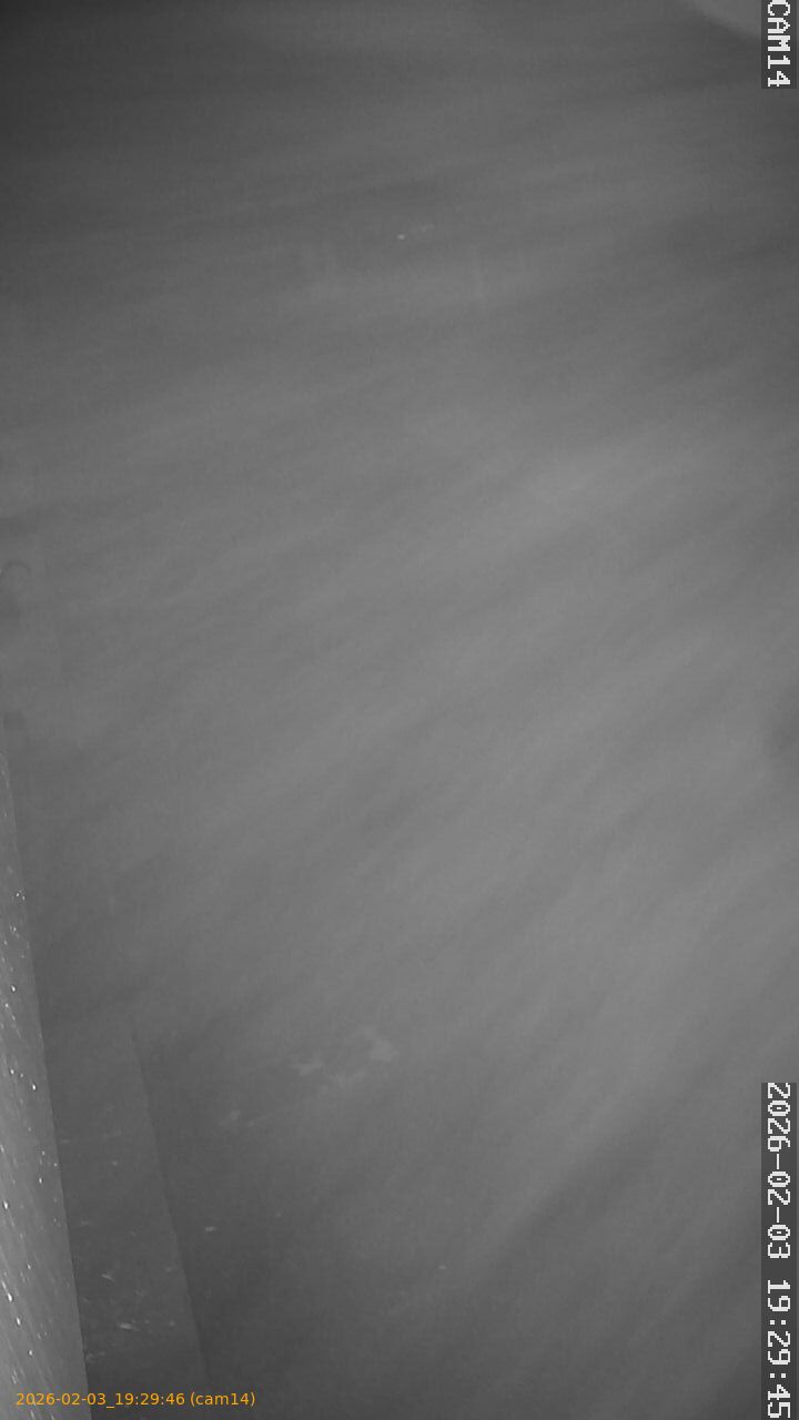 thumbnail_20260203192946