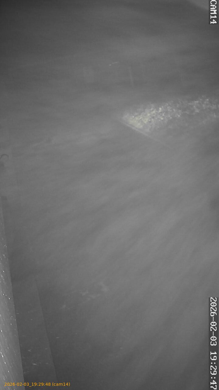 thumbnail_20260203192948