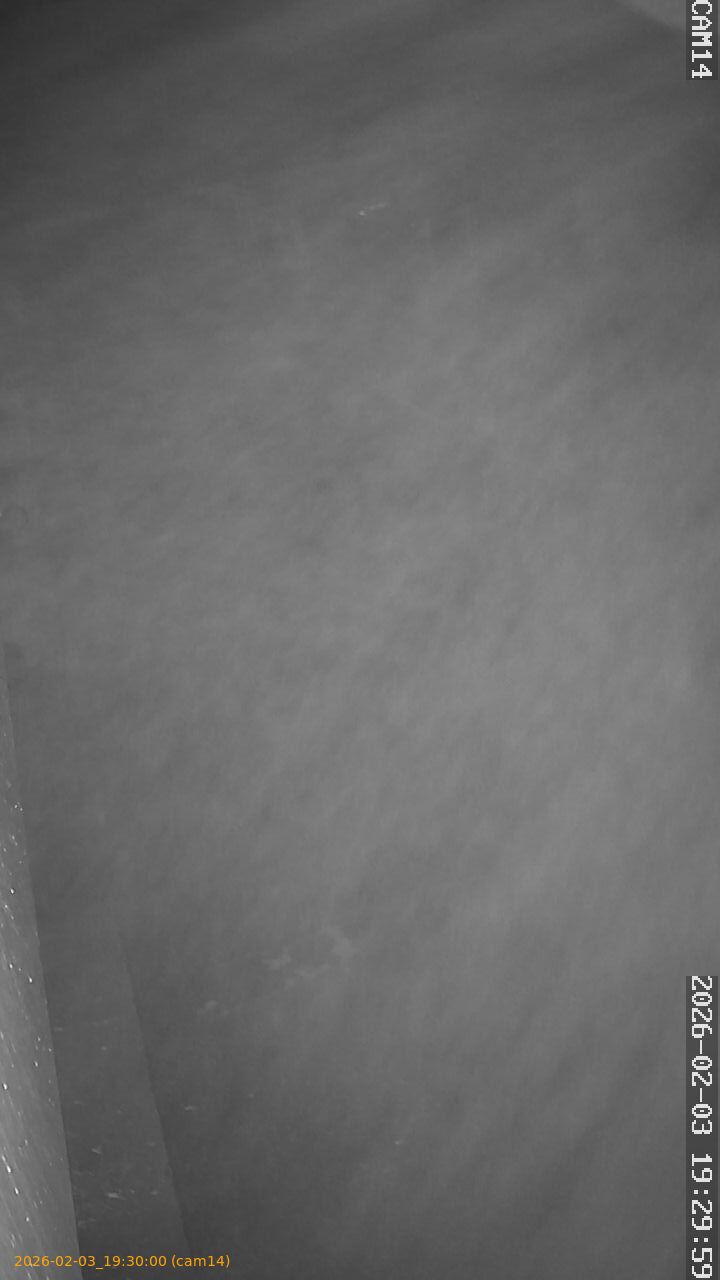 thumbnail_20260203193000