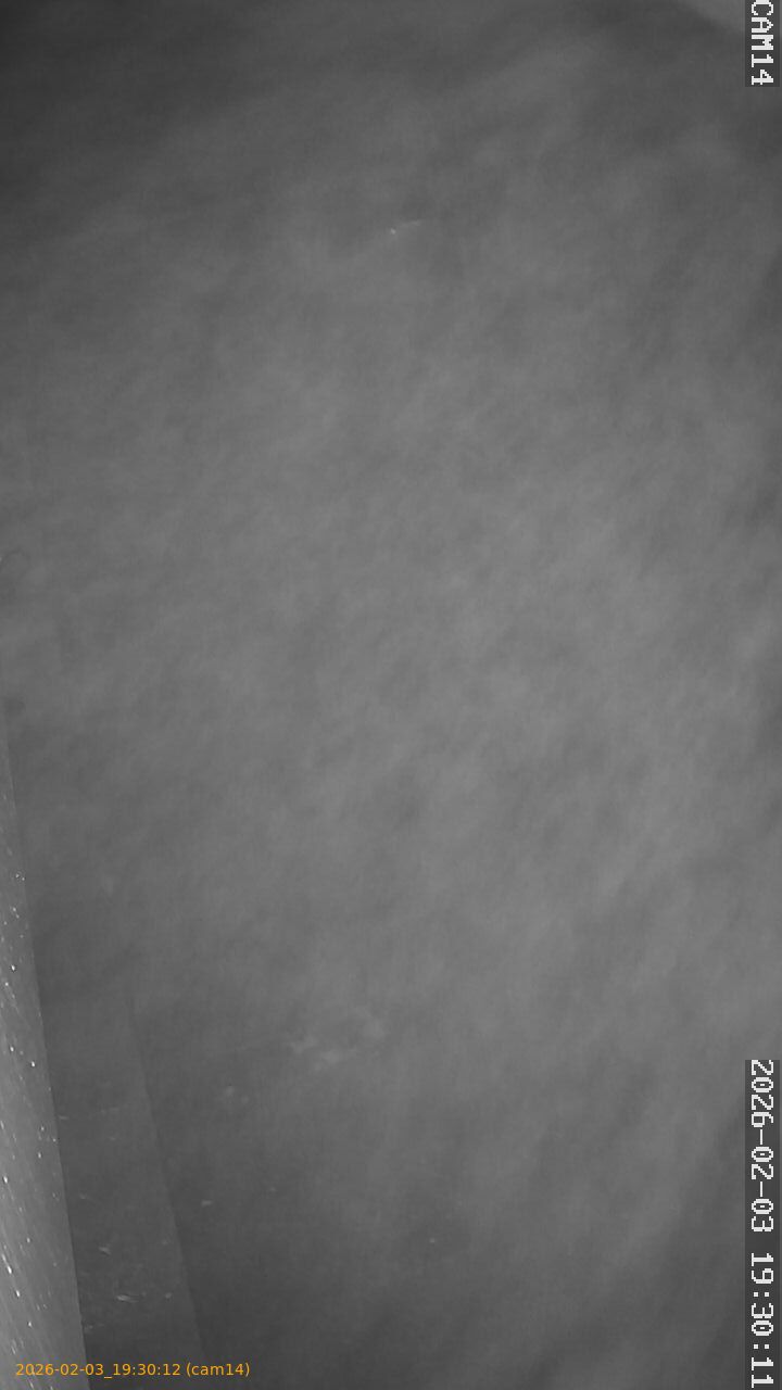 thumbnail_20260203193012