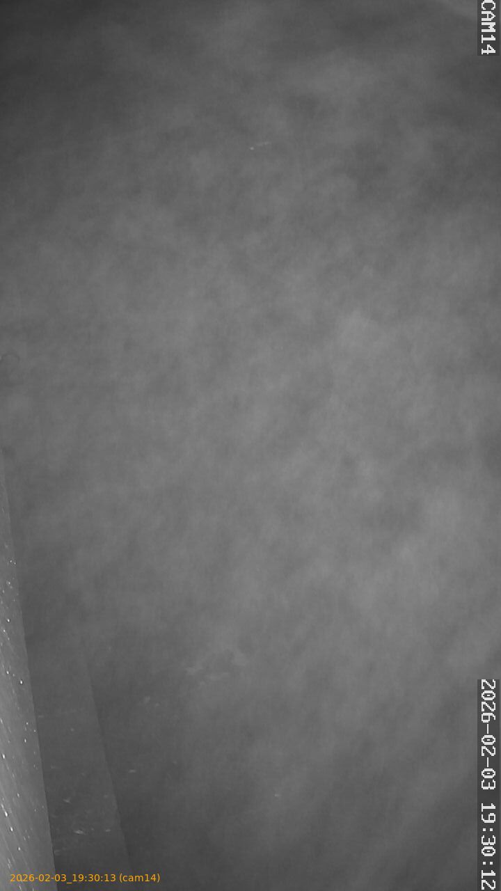 thumbnail_20260203193013