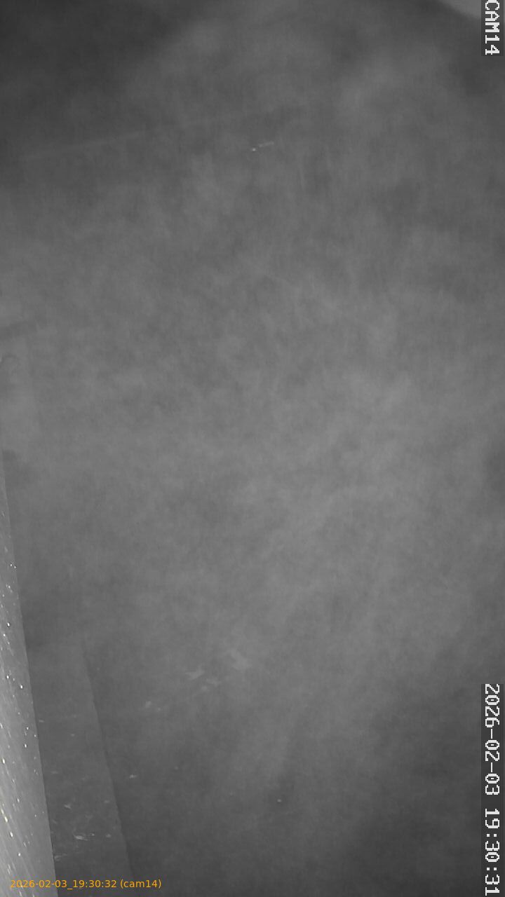 thumbnail_20260203193032