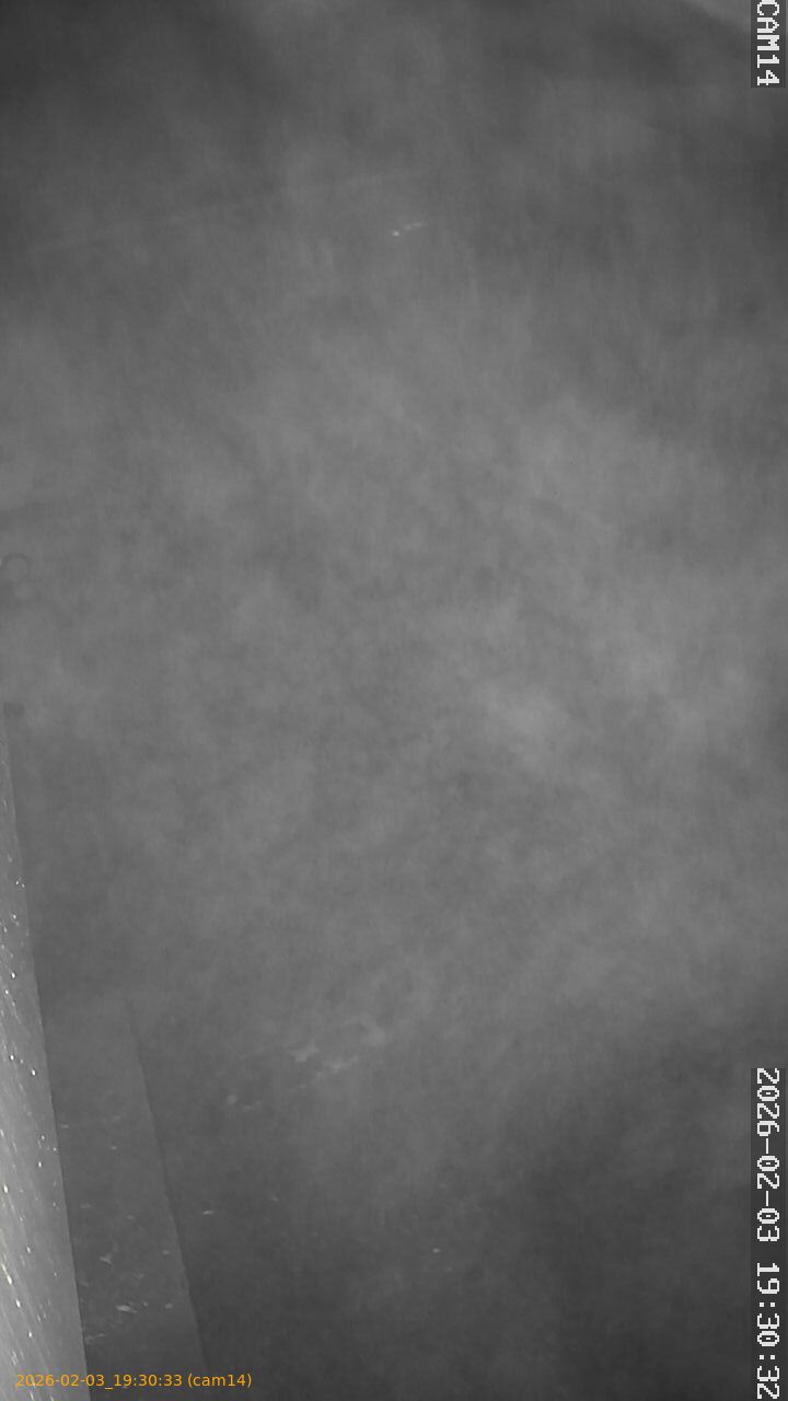 thumbnail_20260203193033