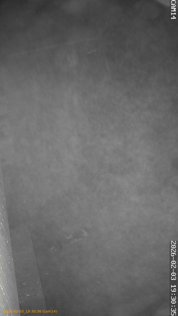 thumbnail_20260203193036