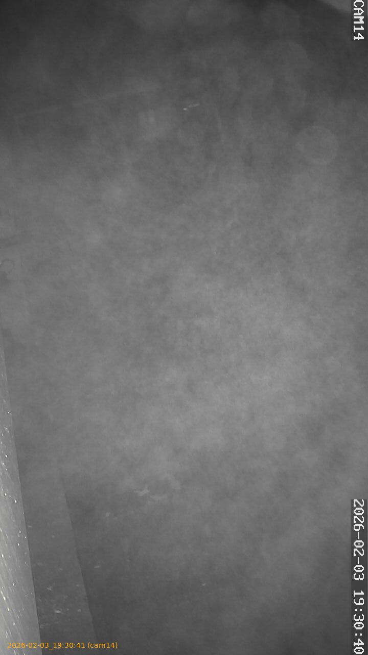 thumbnail_20260203193041