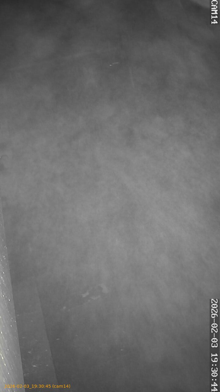 thumbnail_20260203193045