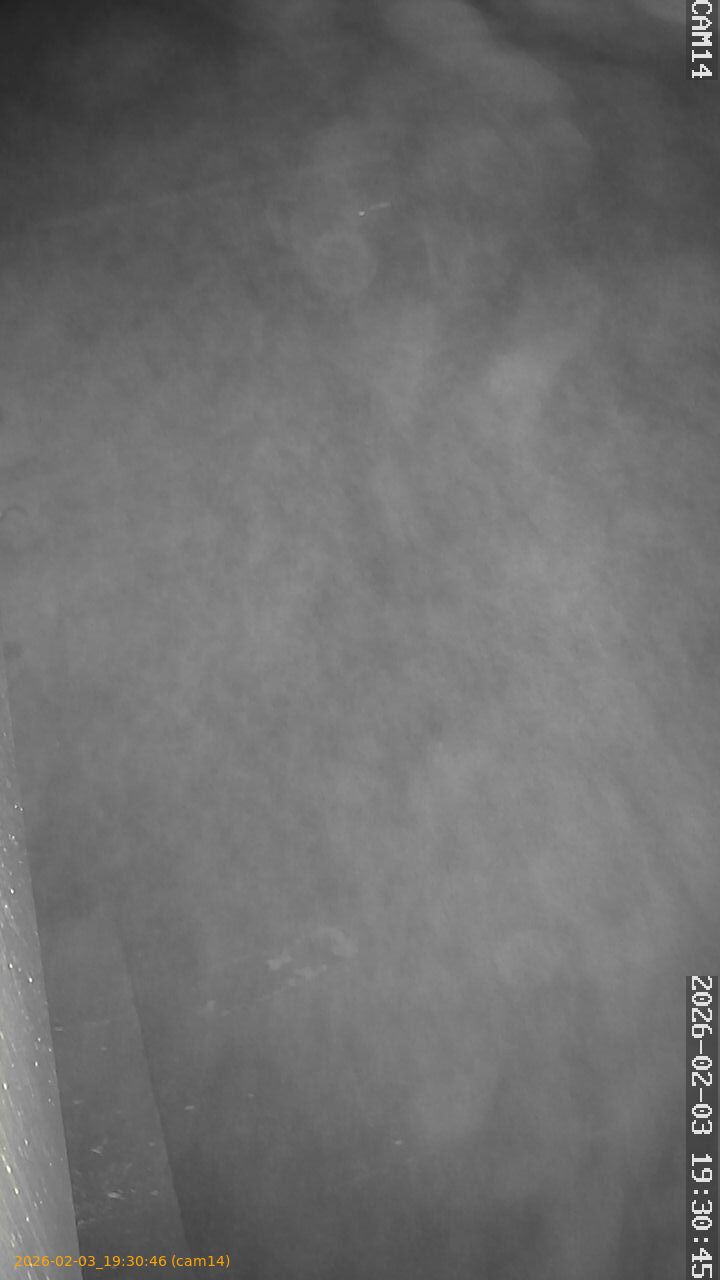 thumbnail_20260203193046