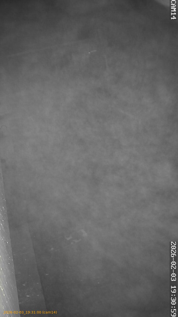 thumbnail_20260203193100