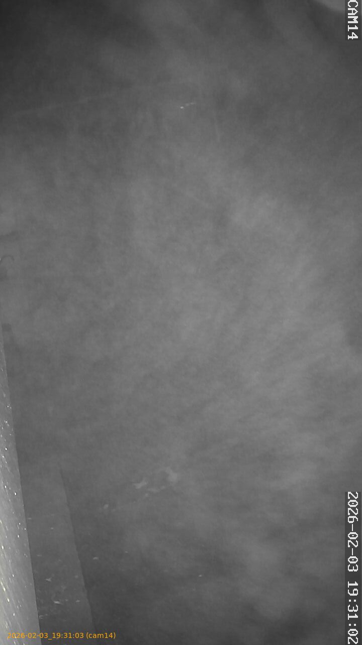 thumbnail_20260203193103