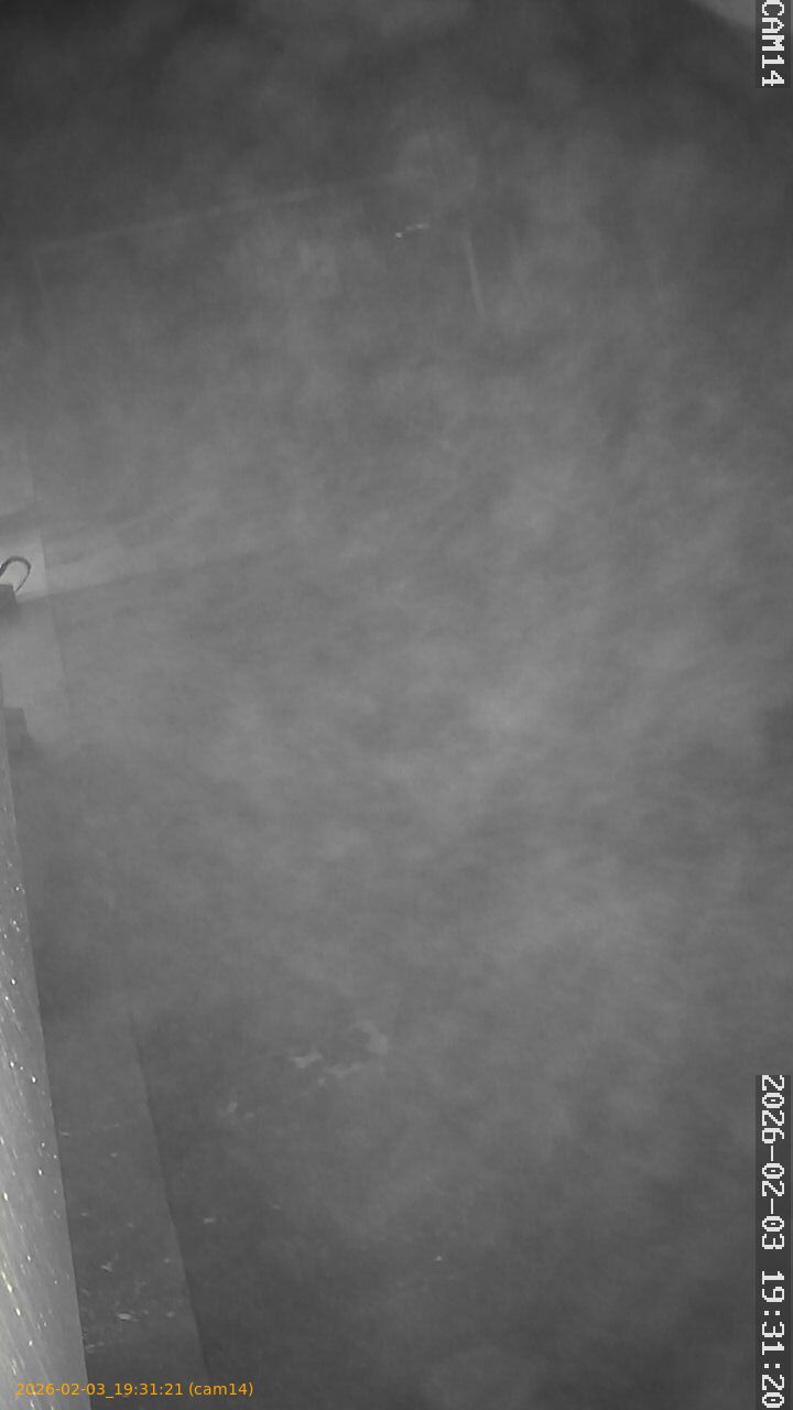 thumbnail_20260203193121