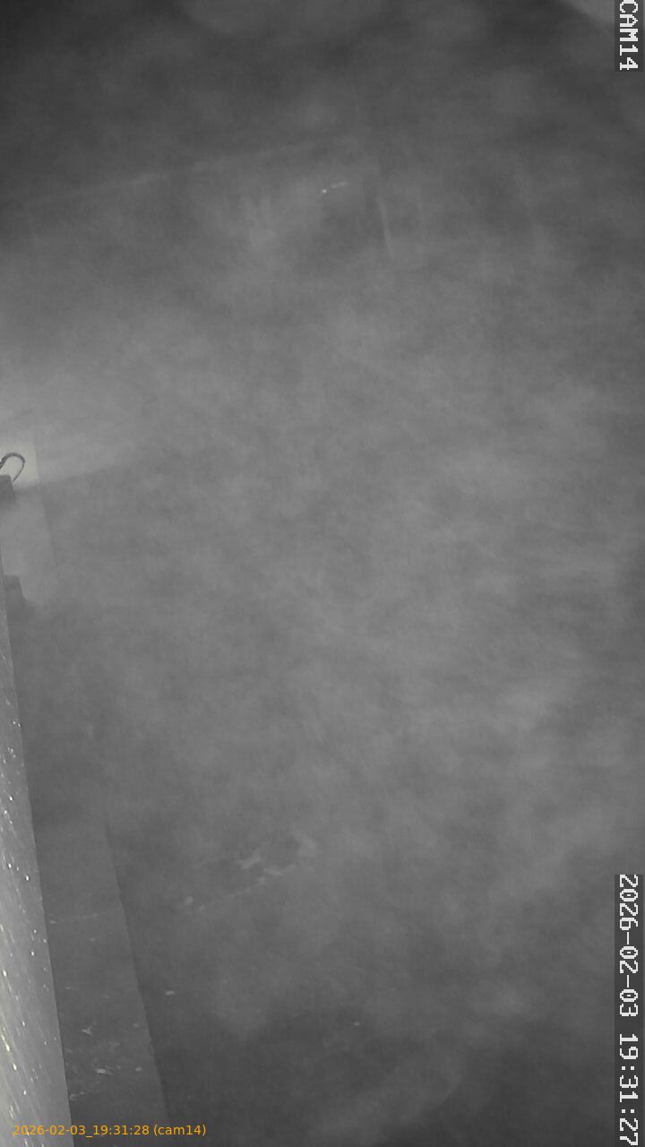 thumbnail_20260203193128