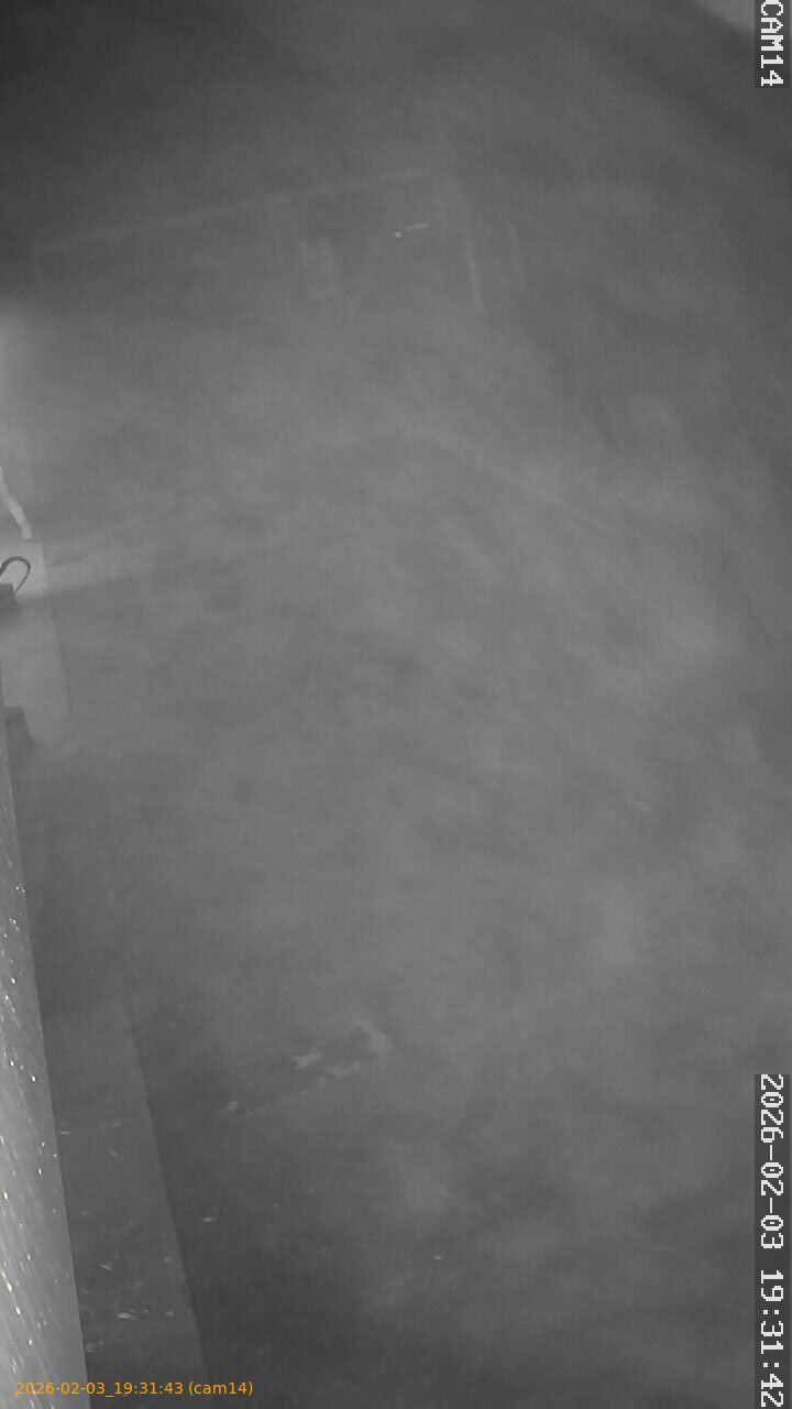 thumbnail_20260203193143