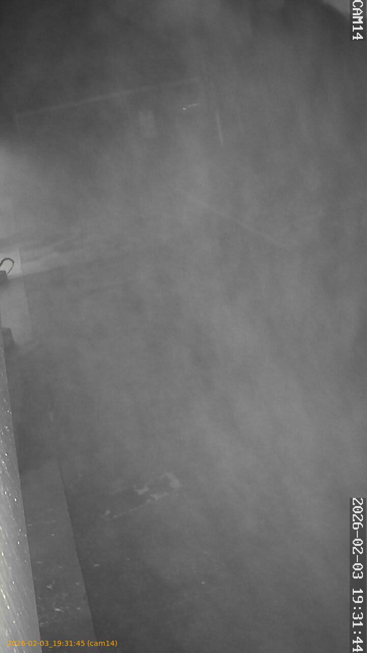 thumbnail_20260203193145