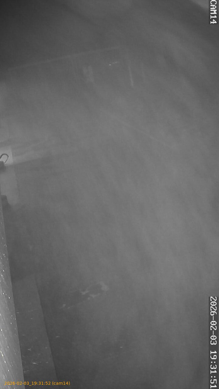 thumbnail_20260203193152