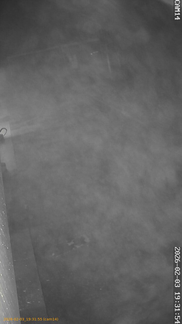 thumbnail_20260203193155