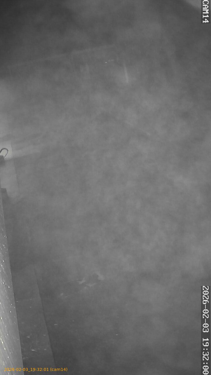 thumbnail_20260203193201