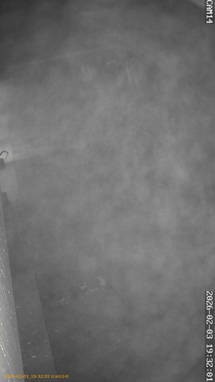 thumbnail_20260203193202