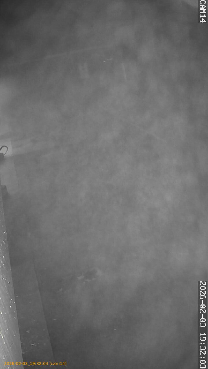 thumbnail_20260203193204