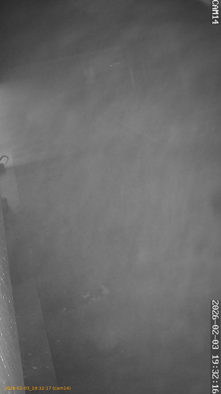 thumbnail_20260203193217