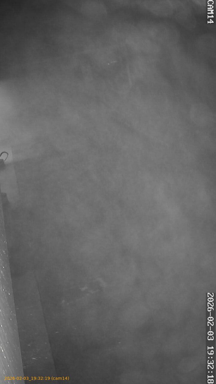 thumbnail_20260203193219