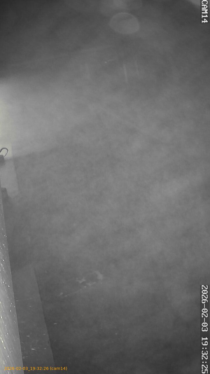 thumbnail_20260203193226