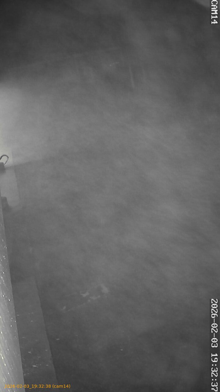 thumbnail_20260203193238