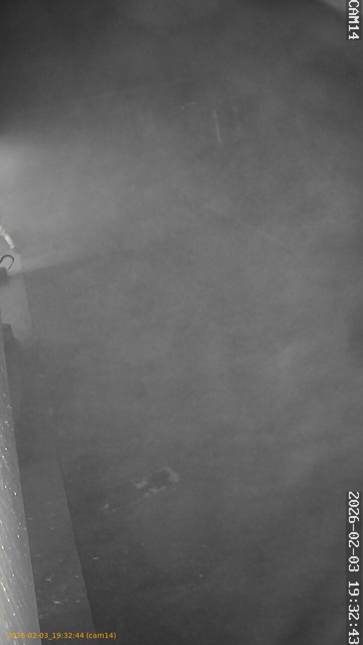 thumbnail_20260203193244