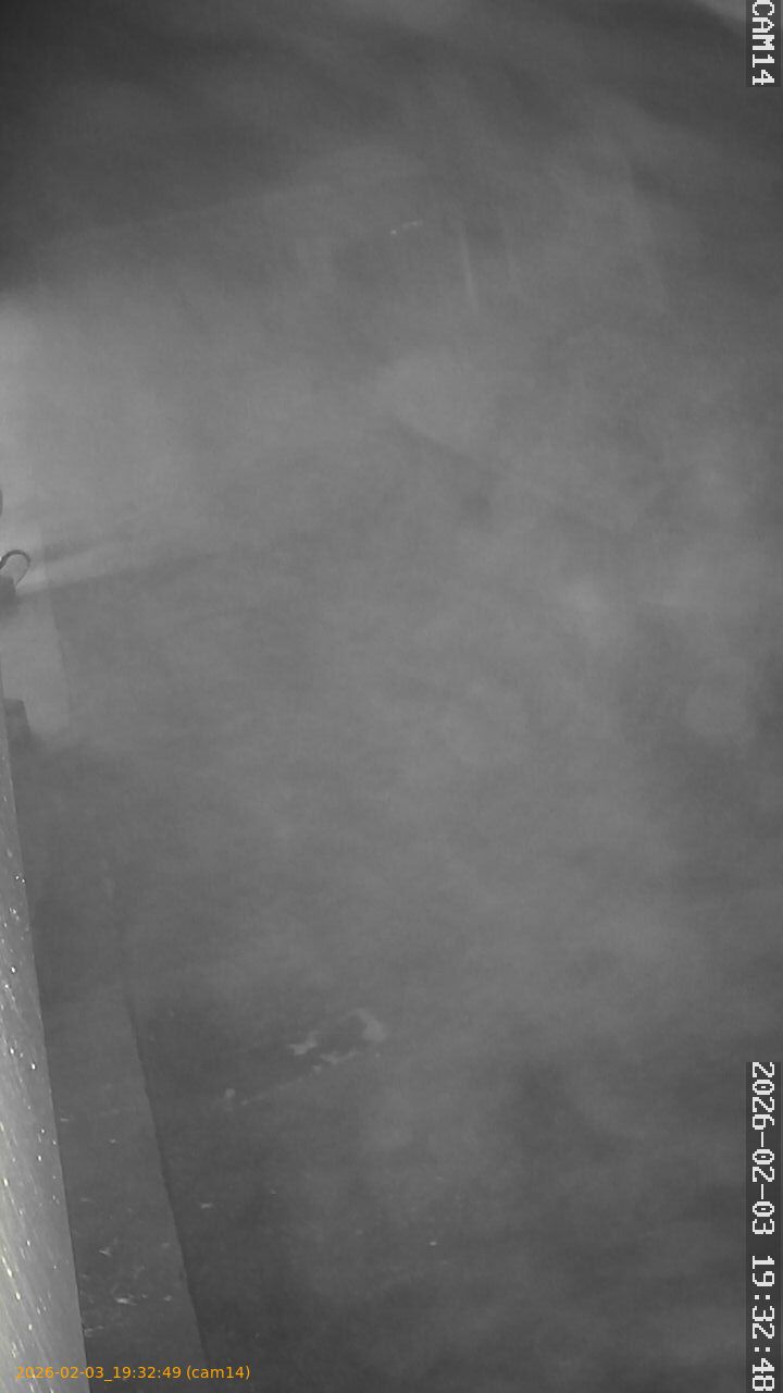 thumbnail_20260203193249