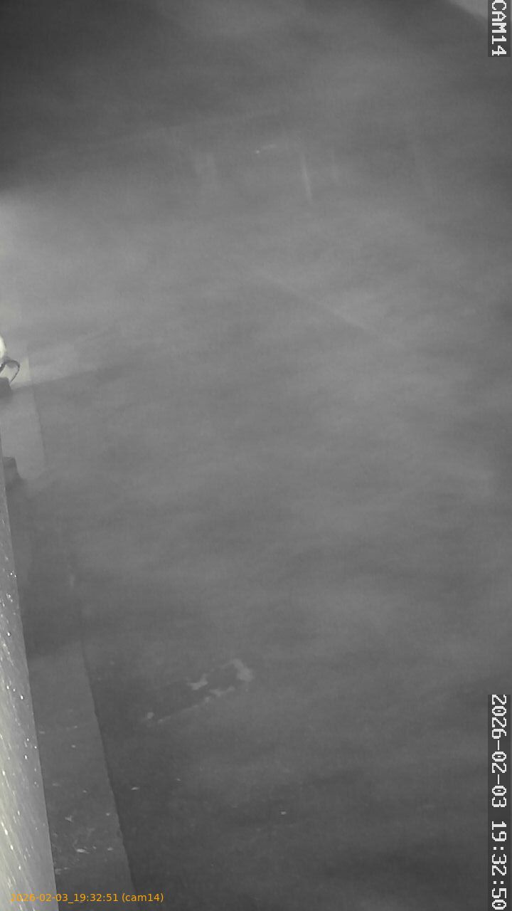 thumbnail_20260203193251