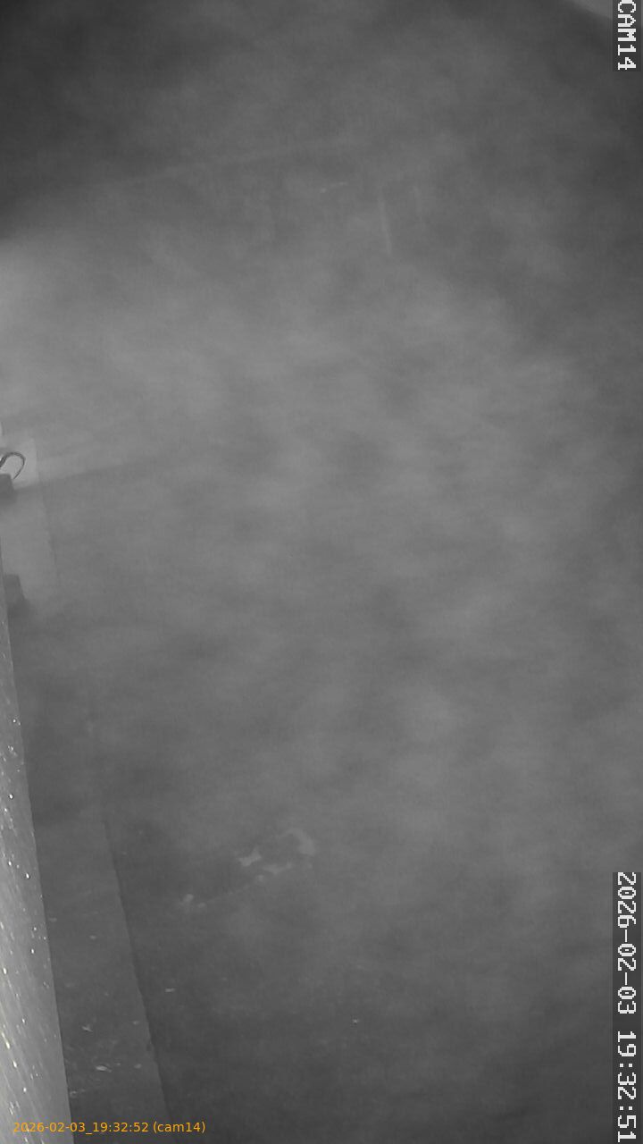 thumbnail_20260203193252