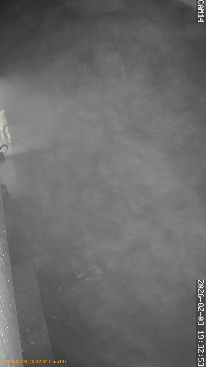 thumbnail_20260203193254