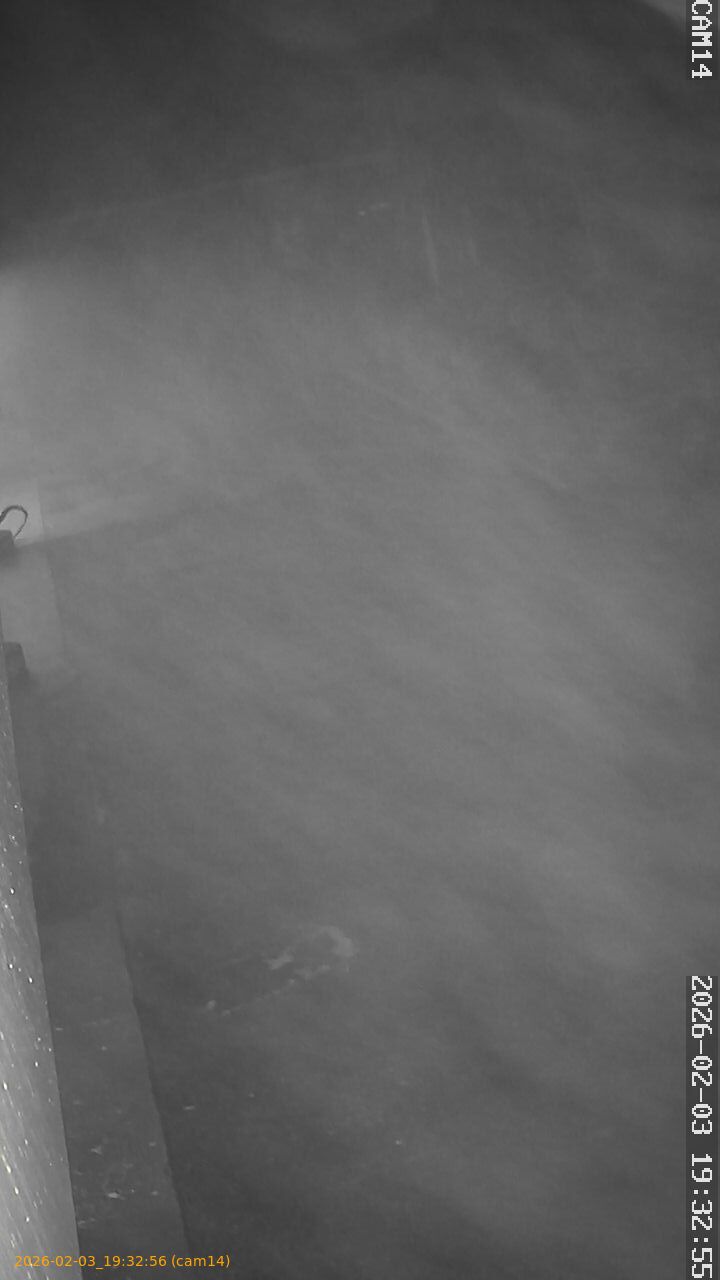 thumbnail_20260203193256