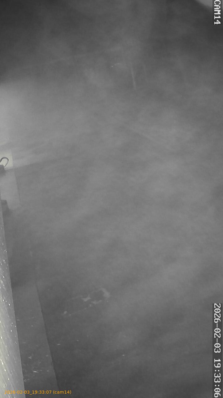 thumbnail_20260203193307