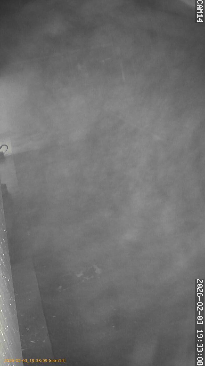 thumbnail_20260203193309