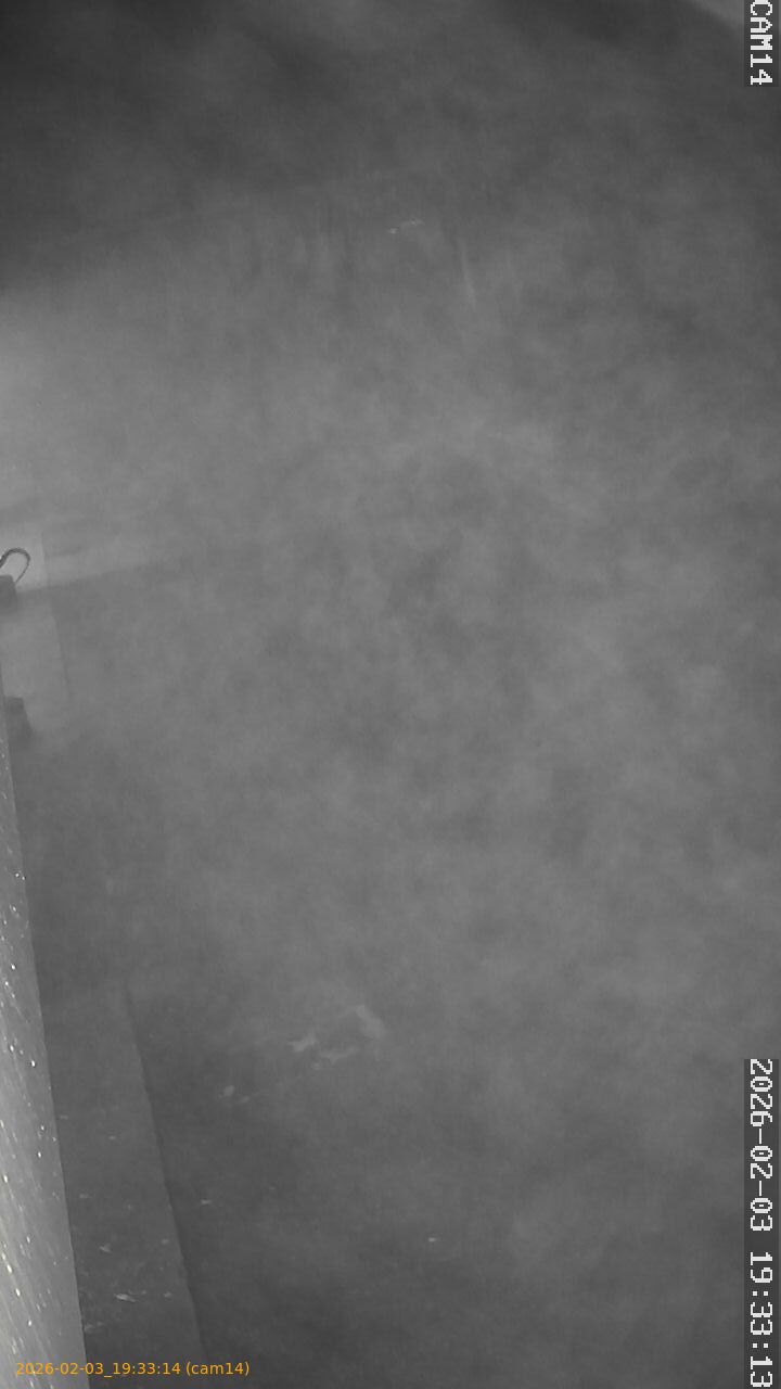 thumbnail_20260203193314