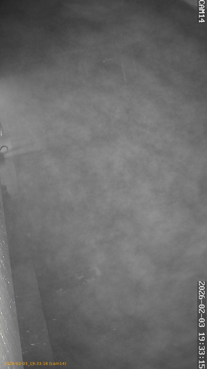 thumbnail_20260203193316