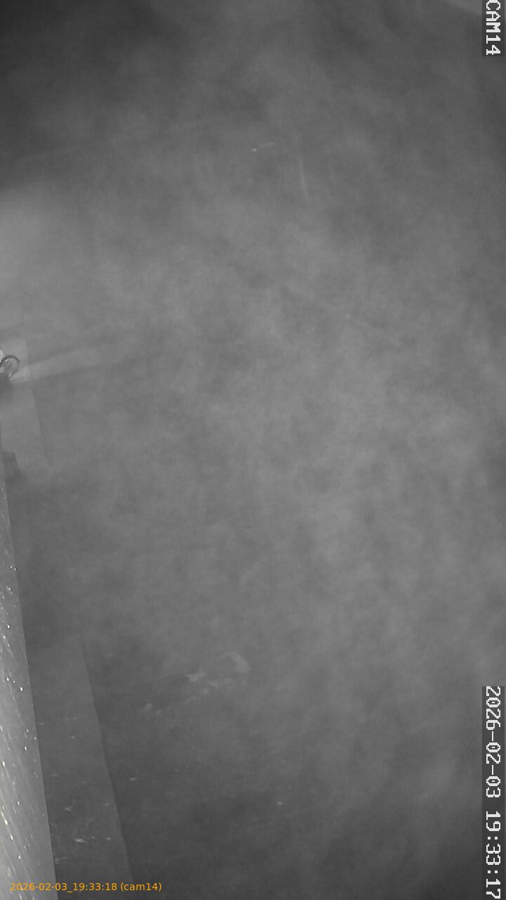 thumbnail_20260203193318