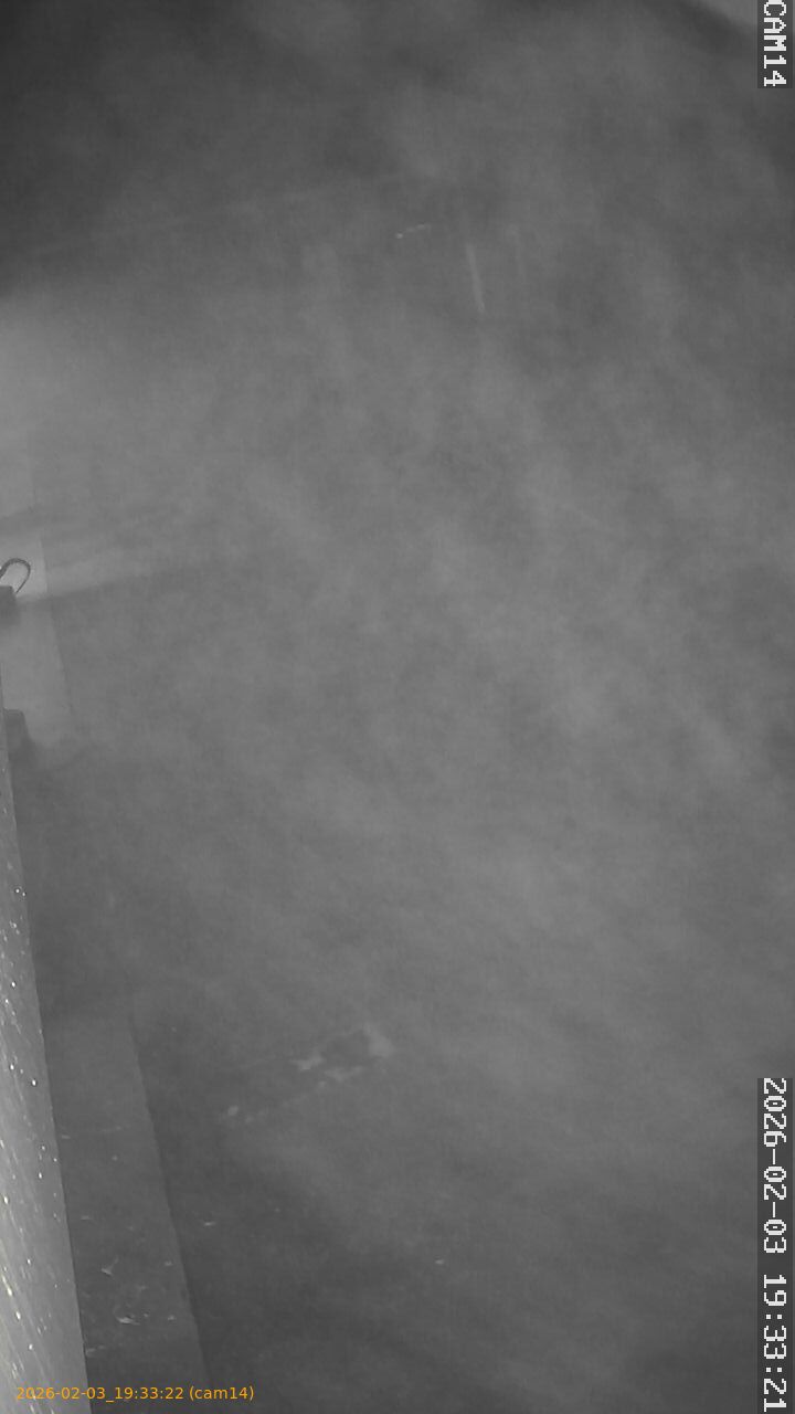 thumbnail_20260203193322